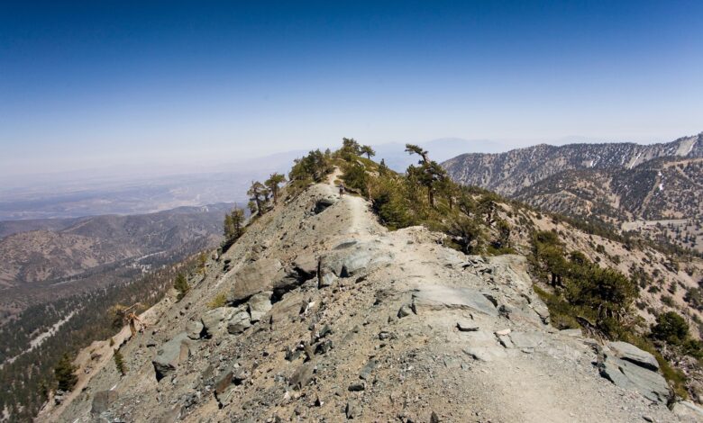 Three hikers found dead during search and rescue efforts on Mount Baldy in California, authorities say