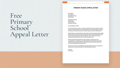 Primary School Application