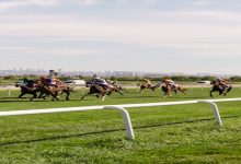 Horse Racing