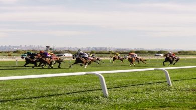 Horse Racing