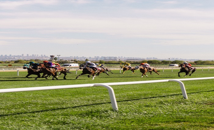 Horse Racing